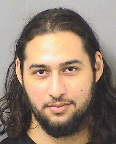  JAVIER MANUEL BORUCK Results from Palm Beach County Florida for  JAVIER MANUEL BORUCK