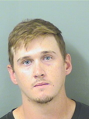  WALTER JAMES HODGES Results from Palm Beach County Florida for  WALTER JAMES HODGES