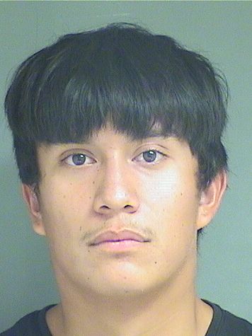  ANGELO SALIAS Results from Palm Beach County Florida for  ANGELO SALIAS