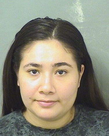  DIANNA ABRAMOVA Resultados de la busqueda para Palm Beach County Florida para  DIANNA ABRAMOVA