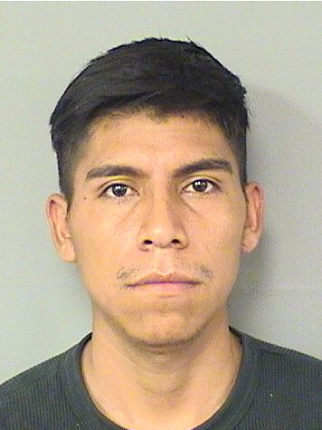  GILBER DOMINGOHERNANDEZ Results from Palm Beach County Florida for  GILBER DOMINGOHERNANDEZ
