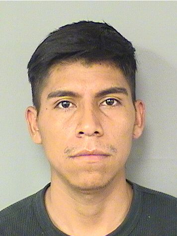  GILBER DOMINGOHERNANDEZ Photo For  GILBER DOMINGOHERNANDEZ