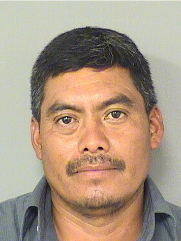  ARMONDO MORALESLOPEZ Results from Palm Beach County Florida for  ARMONDO MORALESLOPEZ