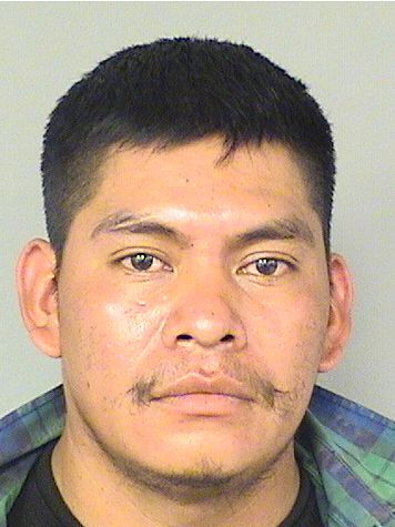 ROSALDO DOMINGOMORALES Results from Palm Beach County Florida for ROSALDO DOMINGOMORALES ROSALDO DOMINGOMORALES Results from Palm Beach County Florida for ROSALDO DOMINGOMORALES
