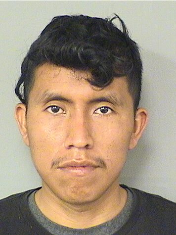  ROLANDO DOMINGOHERNANDEZ Resultados de la busqueda para Palm Beach County Florida para  ROLANDO DOMINGOHERNANDEZ