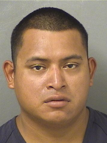  ALEXANDER SALESMARTINEZ Resultados de la busqueda para Palm Beach County Florida para  ALEXANDER SALESMARTINEZ