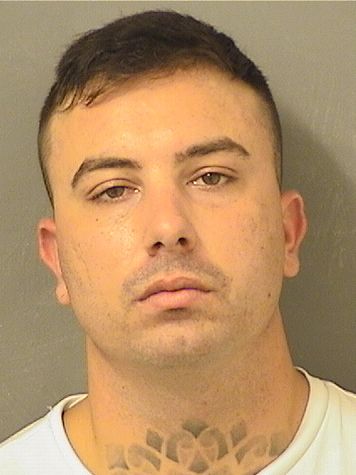  NICHOLAS MAIORINO Results from Palm Beach County Florida for  NICHOLAS MAIORINO