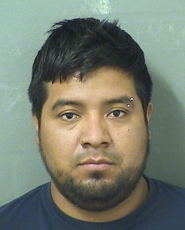  RAMON LEONARDO DELGADOSILVESTRE Resultados de la busqueda para Palm Beach County Florida para  RAMON LEONARDO DELGADOSILVESTRE