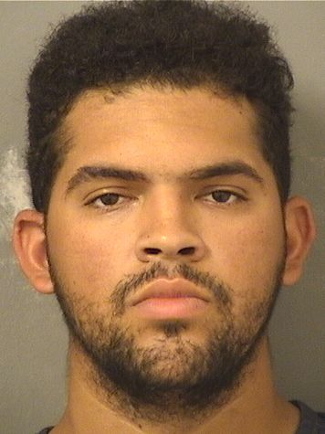  ALEJANDRO LEUIKYS CASTROSANCHEZ Results from Palm Beach County Florida for  ALEJANDRO LEUIKYS CASTROSANCHEZ