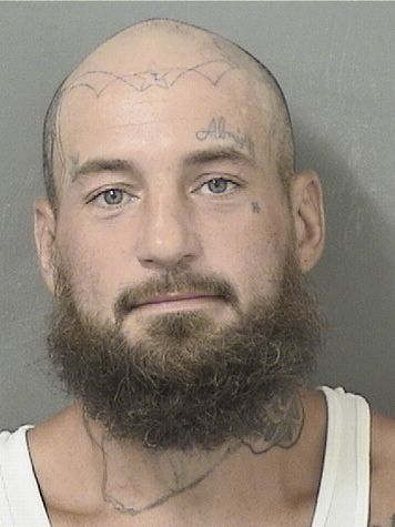  DEREK S PHILLIPS Results from Palm Beach County Florida for  DEREK S PHILLIPS