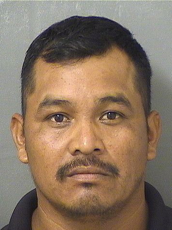  MIGUEL JOSEMIGUEL Results from Palm Beach County Florida for  MIGUEL JOSEMIGUEL