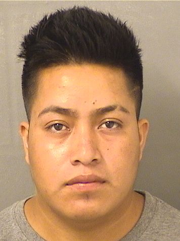 MATIAS M PASCUALMIGUEL Results from Palm Beach County Florida for  MATIAS M PASCUALMIGUEL