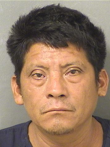  JOSE ALBERTO EUCEDA Results from Palm Beach County Florida for  JOSE ALBERTO EUCEDA