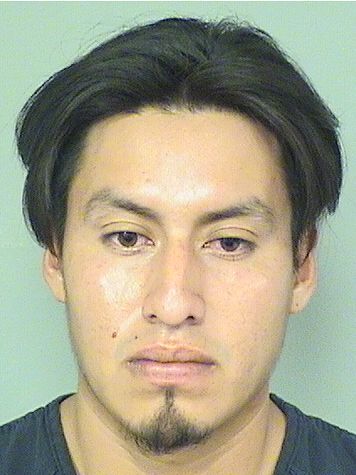  RAMON MIGUELMATEO Results from Palm Beach County Florida for  RAMON MIGUELMATEO