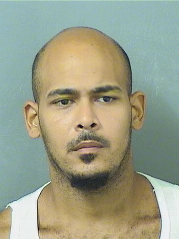  NELSON STEVEN ZAYAS Results from Palm Beach County Florida for  NELSON STEVEN ZAYAS