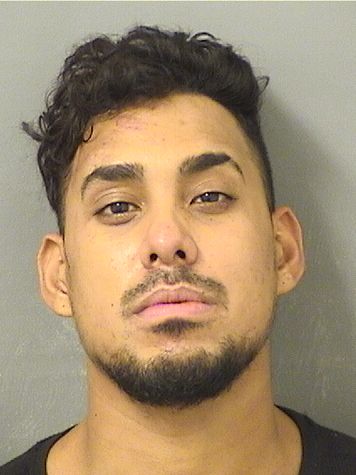 NICHOLAS ANGELO LEVENDAL Results from Palm Beach County Florida for  NICHOLAS ANGELO LEVENDAL