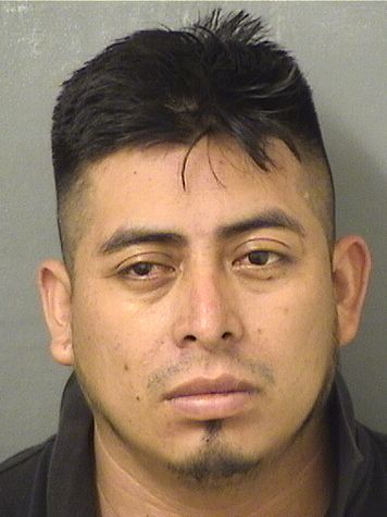  FREDY NELSON GUTIERREZSILVESTRE Results from Palm Beach County Florida for  FREDY NELSON GUTIERREZSILVESTRE