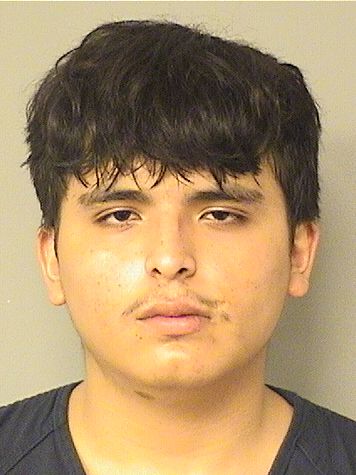  MICHAEL YURIEL FONSECA Results from Palm Beach County Florida for  MICHAEL YURIEL FONSECA