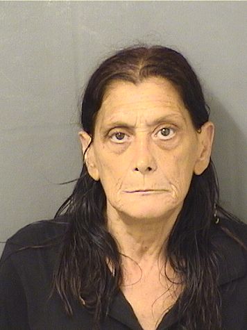  ANDREA BENEDETTOFELBINGER Results from Palm Beach County Florida for  ANDREA BENEDETTOFELBINGER