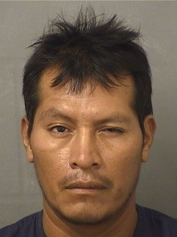 LUIS PEREZGOMEZ Results from Palm Beach County Florida for LUIS PEREZGOMEZ LUIS PEREZGOMEZ Results from Palm Beach County Florida for LUIS PEREZGOMEZ