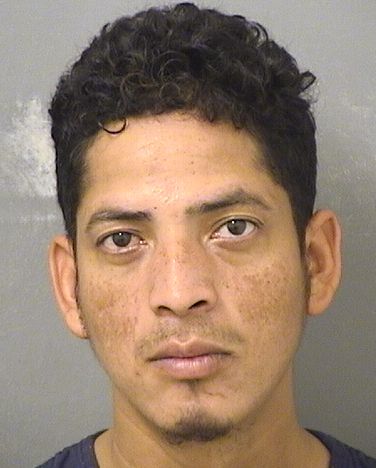  NOE DE LA CRUZ ALEMANPADILLA Resultados de la busqueda para Palm Beach County Florida para  NOE DE LA CRUZ ALEMANPADILLA