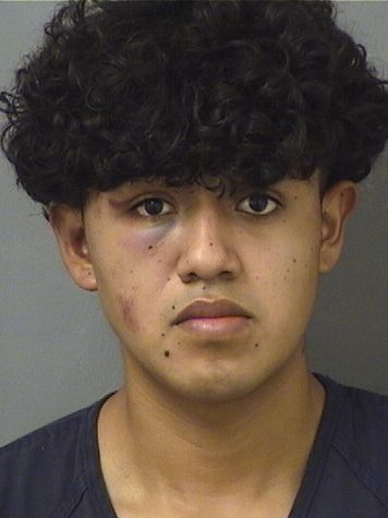 JUAN ANTONIO VASQUEZPEREZ Results from Palm Beach County Florida for JUAN ANTONIO VASQUEZPEREZ JUAN ANTONIO VASQUEZPEREZ Results from Palm Beach County Florida for JUAN ANTONIO VASQUEZPEREZ