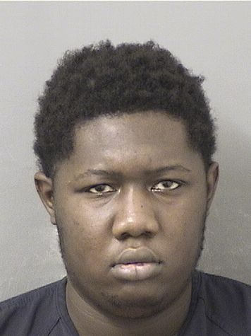  BRIAN SAINTLOUIS Results from Palm Beach County Florida for  BRIAN SAINTLOUIS