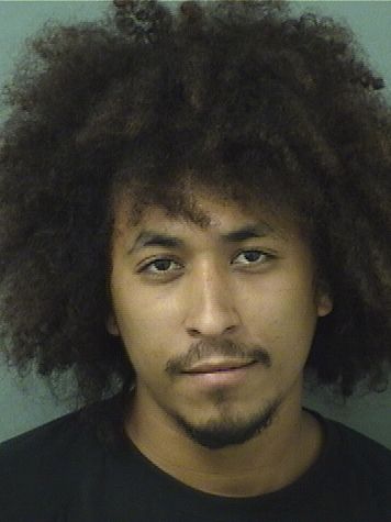  JAY ANTHONY TORRESAYALA Results from Palm Beach County Florida for  JAY ANTHONY TORRESAYALA