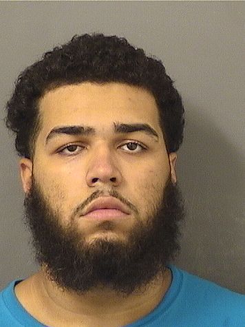  FABIAN JOSE HERNANDEZ Results from Palm Beach County Florida for  FABIAN JOSE HERNANDEZ