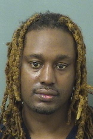  RONALD AARON MATTHEWS Results from Palm Beach County Florida for  RONALD AARON MATTHEWS