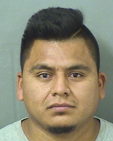  ABEL OSWALDO GARCIAGARCIA Results from Palm Beach County Florida for  ABEL OSWALDO GARCIAGARCIA