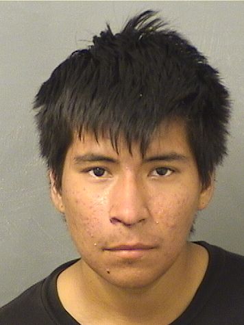 FRANCISCO Jr MORALES Results from Palm Beach County Florida for FRANCISCO Jr MORALES FRANCISCO Jr MORALES Results from Palm Beach County Florida for FRANCISCO Jr MORALES
