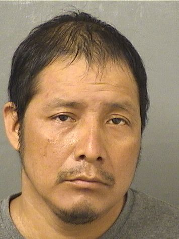 NELSON MORENTE Results from Palm Beach County Florida for NELSON MORENTE NELSON MORENTE Results from Palm Beach County Florida for NELSON MORENTE