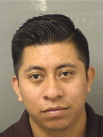 DARWIN ODANYSALESPEREZ Results from Palm Beach County Florida for  DARWIN ODANYSALESPEREZ  DARWIN ODANYSALESPEREZ Results from Palm Beach County Florida for  DARWIN ODANYSALESPEREZ