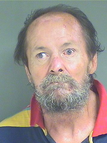  JAMES DAVID CHESNICK Results from Palm Beach County Florida for  JAMES DAVID CHESNICK