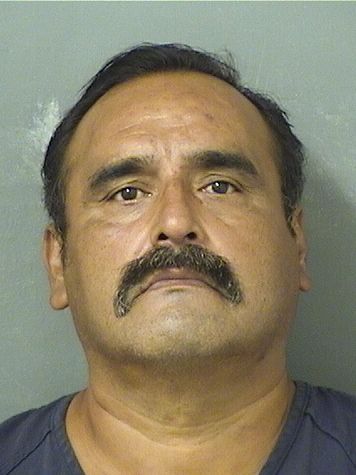  TEODORO PAEZ Results from Palm Beach County Florida for  TEODORO PAEZ