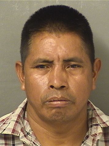  JUAN ANDREAS PUNTALO Photo For  JUAN ANDREAS PUNTALO