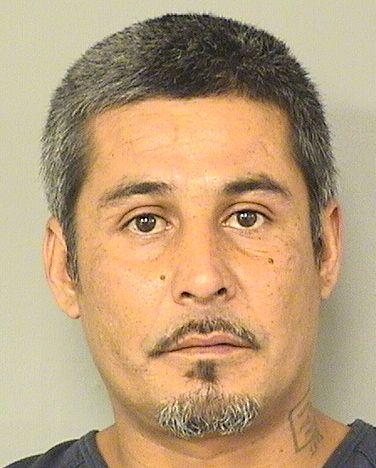  SAMUEL SANCHEZ Resultados de la busqueda para Palm Beach County Florida para  SAMUEL SANCHEZ