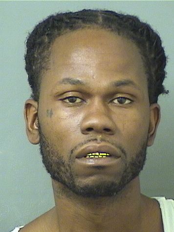  ANDREW LEONARD Results from Palm Beach County Florida for  ANDREW LEONARD