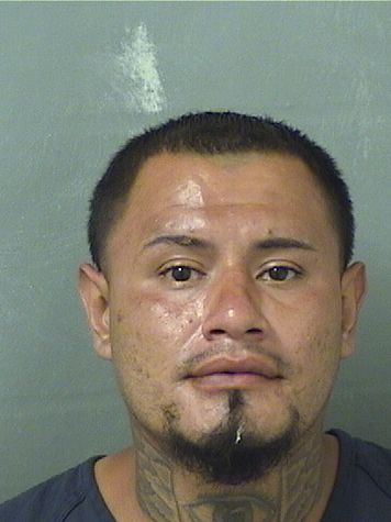  CESAR ESTUARDO JAMES Results from Palm Beach County Florida for  CESAR ESTUARDO JAMES