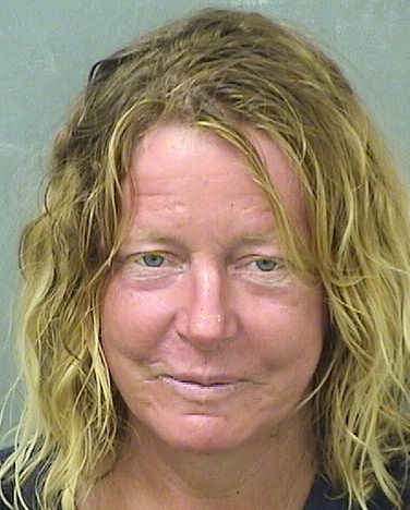  AMY ELIZABETH HAND Results from Palm Beach County Florida for  AMY ELIZABETH HAND