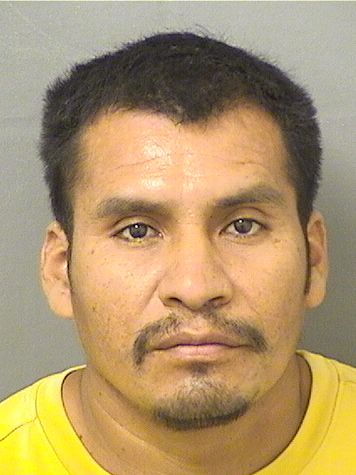  WILFREDO J DELEONORTIZ Resultados de la busqueda para Palm Beach County Florida para  WILFREDO J DELEONORTIZ