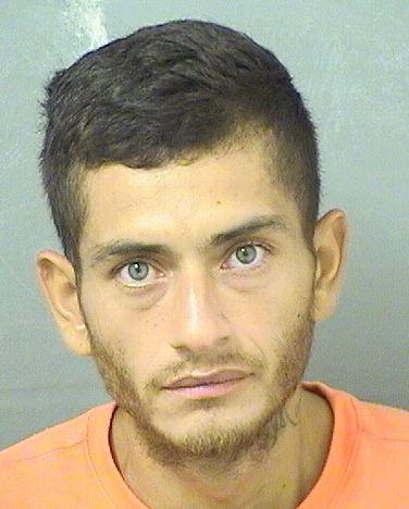  JOEL RICO Resultados de la busqueda para Palm Beach County Florida para  JOEL RICO