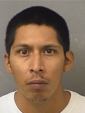  JESUS H PEDRO Results from Palm Beach County Florida for  JESUS H PEDRO