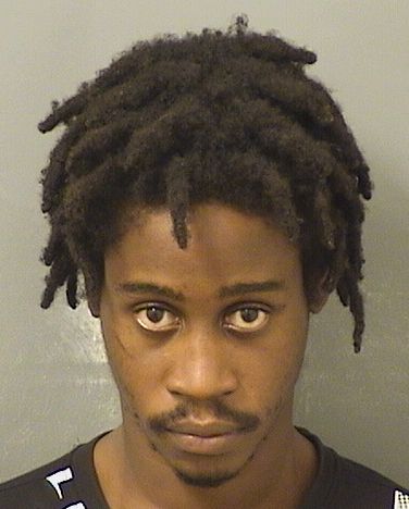  SAMUEL DOMESCA Results from Palm Beach County Florida for  SAMUEL DOMESCA