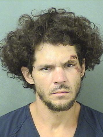  MATTHEW DAVIDFRANCIS CRUMRINE Results from Palm Beach County Florida for  MATTHEW DAVIDFRANCIS CRUMRINE