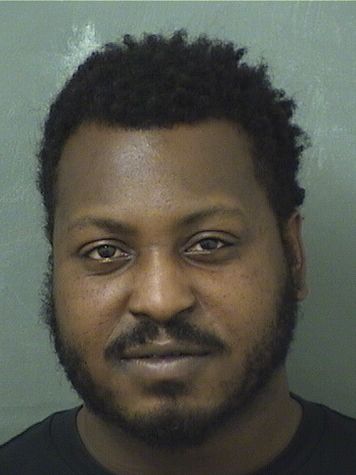  TIMOTHY BROCKMAN Results from Palm Beach County Florida for  TIMOTHY BROCKMAN