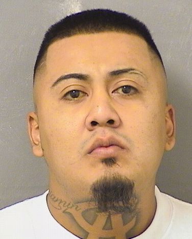  MARCO ARTURO TORRES Results from Palm Beach County Florida for  MARCO ARTURO TORRES