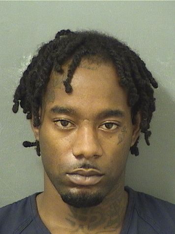  DOMINIC RAVON MARTIN Results from Palm Beach County Florida for  DOMINIC RAVON MARTIN