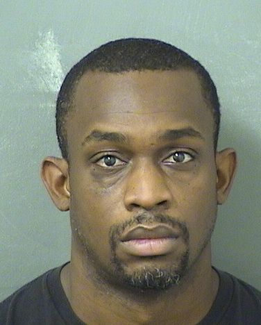  BRANDON J WHIPPLE Results from Palm Beach County Florida for  BRANDON J WHIPPLE